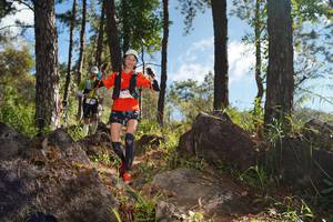 BIB: 
                            <button type="button" onclick="openModal(18937117)" class="btn btn-primary btn-sm float-right btn-popup" data-toggle="modal" data-target=".modal-high-quality">
                        <i class="fas fa-shopping-cart"></i> Add to Cart
                    </button>
                                            <button type="button" onclick="isThisMe(18937117, true)" class="btn btn-success btn-sm float-right btn-popup btn-isme hidden" data-toggle="tooltip" data-placement="bottom" title="นี่คือรูปของคุณใช่ไหม คลิกที่นี่เพื่อเอาเข้าอัลบั้ม">
                        <i class="fas fa-plus"></i> Add to album
                    </button>
                    <button type="button" onclick="isThisMe(18937117, false)" class="btn btn-warning btn-sm float-right btn-popup btn-isnotme hidden">
                        <i class="fas fa-ban"></i> Remove from album
                    </button>